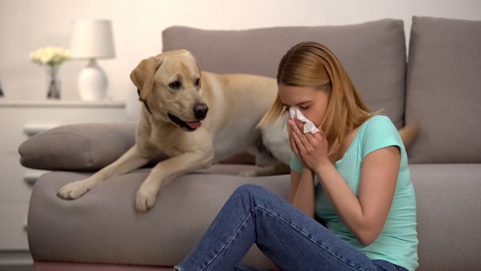 鼻をかむ女性と心配そうに見つめる犬