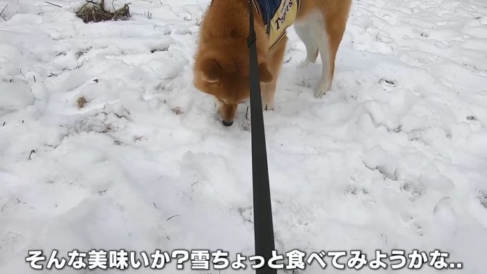 2人で雪のテイスティング