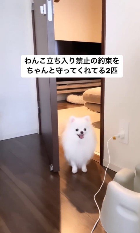 寝室を覗くぺこちゃん3