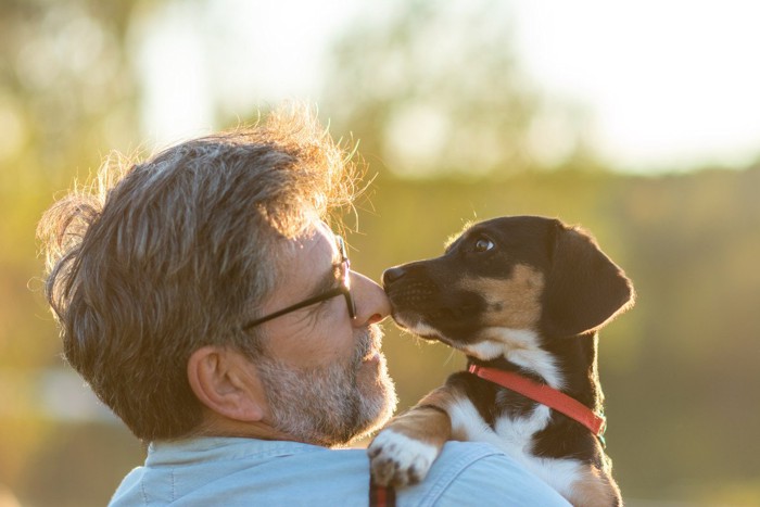 愛犬との交流