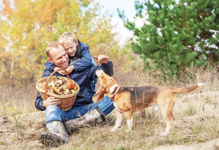 きのこを持った家族と犬