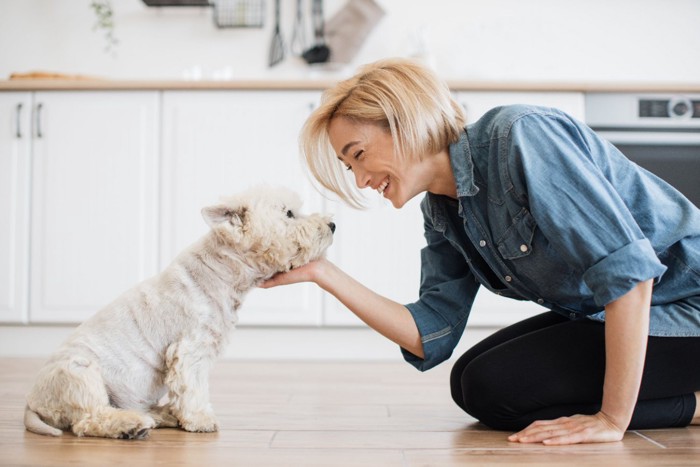 犬の顔に手を添える女性