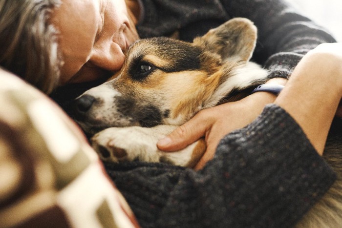 男性にハグされている犬