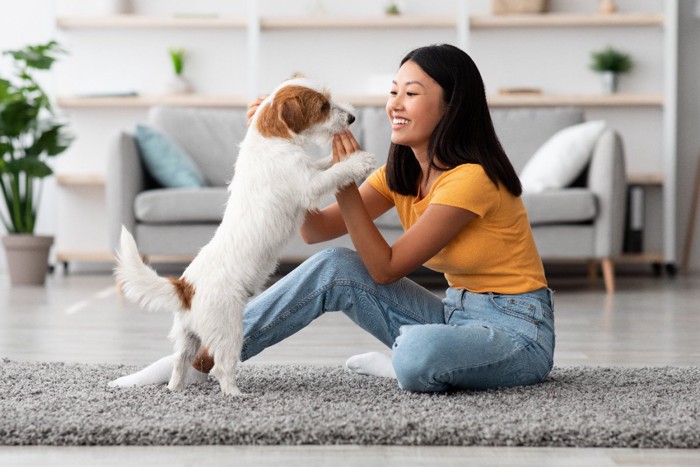 一緒に室内で遊ぶ女性と犬