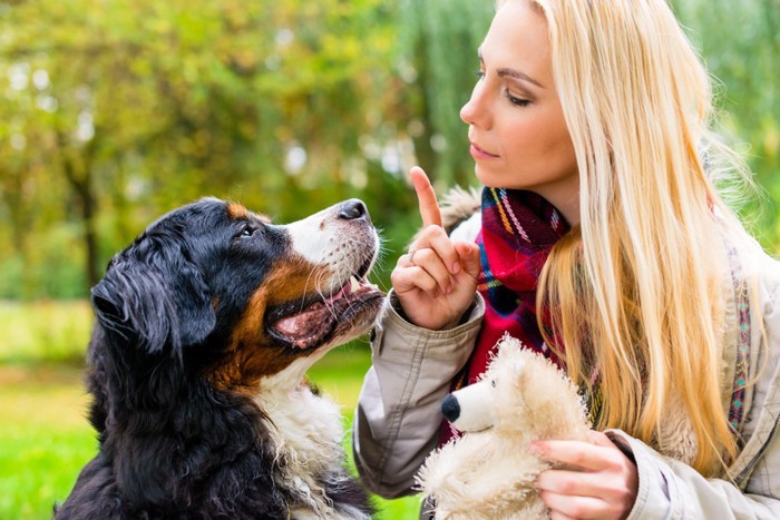 犬のしつけをしている女性