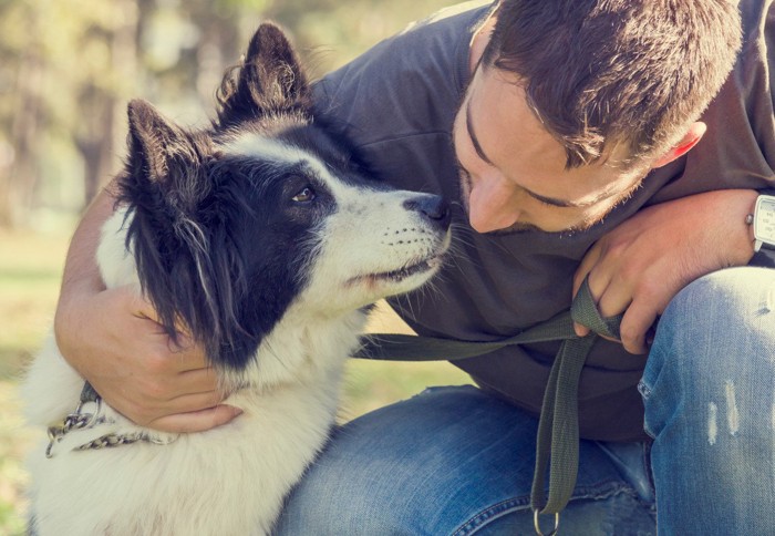 男性に声をかけられる犬