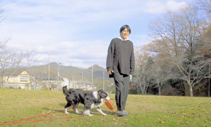 フリスビーを加える犬