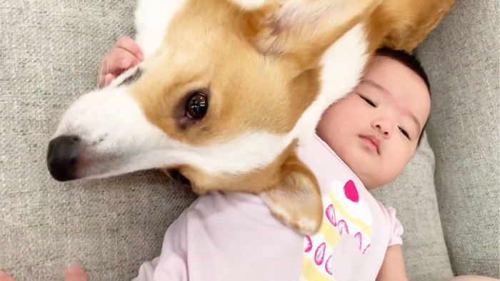 寝転がる赤ちゃんと犬