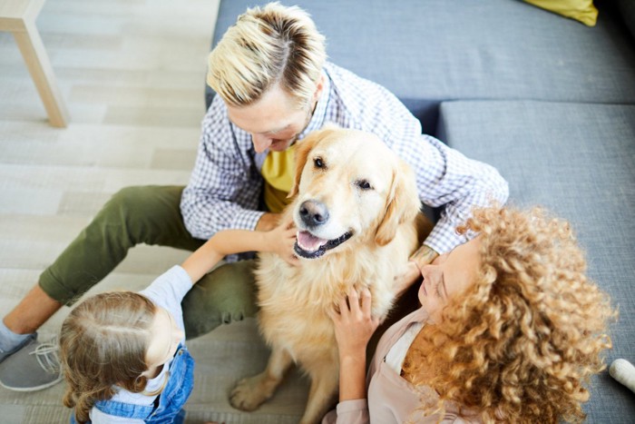 ソファで過ごす愛犬と家族