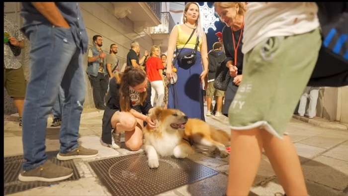 秋田犬にずっと会ってみたかったんだって！