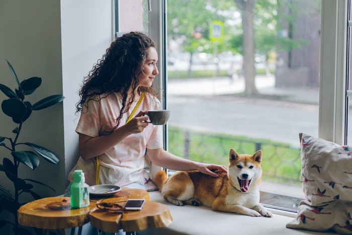 柴犬とカップを持つ女性