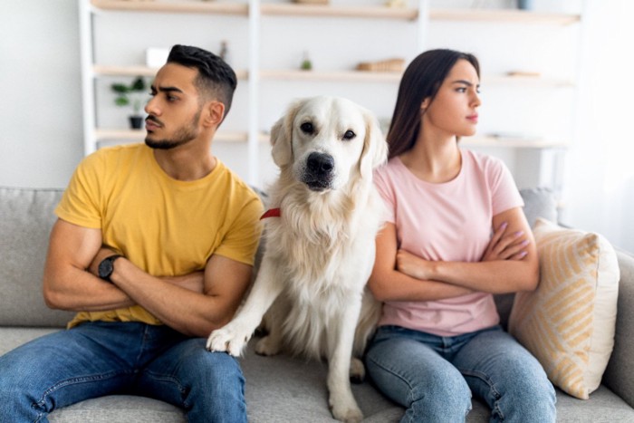 夫婦喧嘩と犬