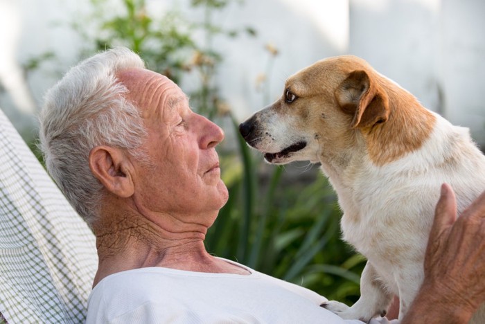 見つめ合う男性と白×茶の犬