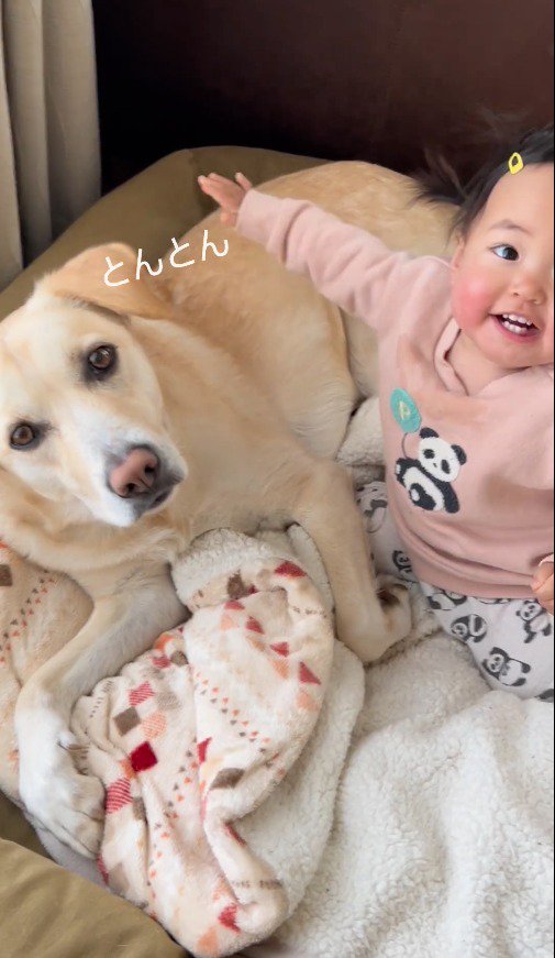 カメラを見て笑う赤ちゃんと犬