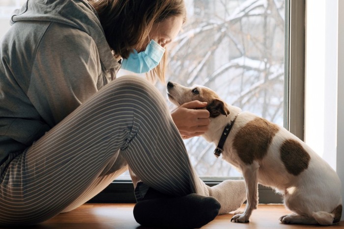 座って見つめ合うマスクの女性と犬