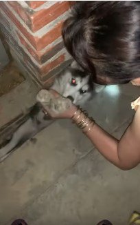 女性が子犬の前足をつかむ