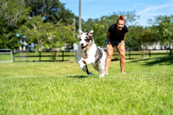 愛犬と一緒に外で楽しむ女性