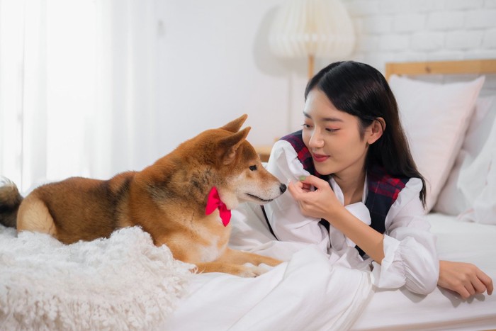 女性と柴犬