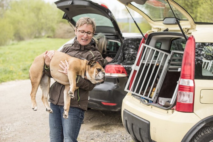 車の中のクレートに積み込まれる犬