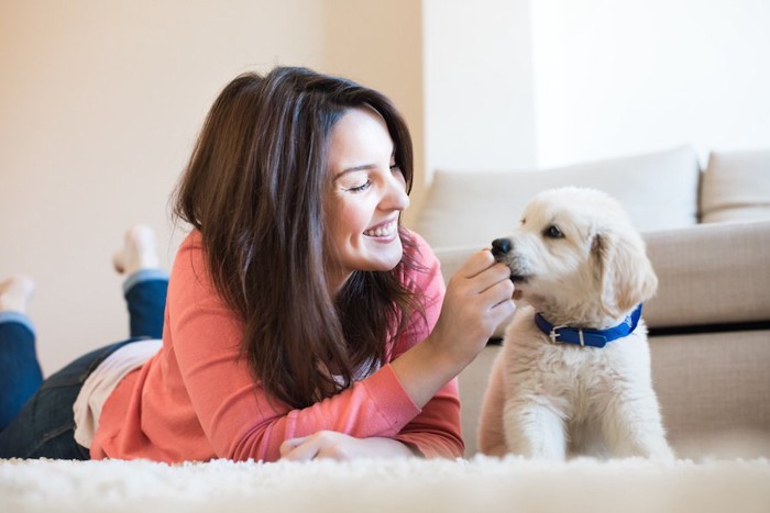 パーカーを着た女性からオヤツをもらう子犬