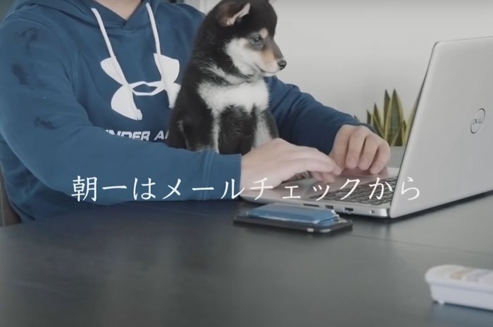 PCの前に座る人と犬