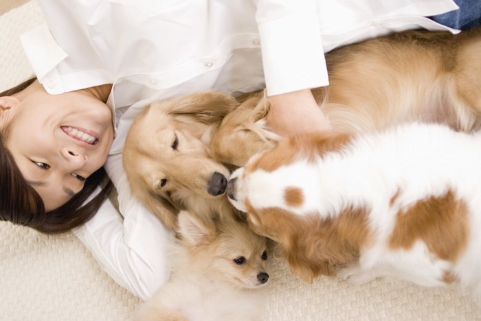 寝転んでくつろぐ女性と3匹の犬