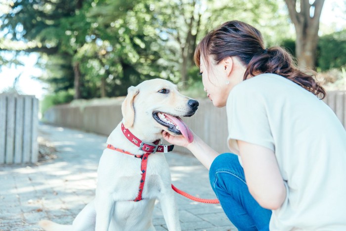 しゃがんで犬に話しかける女性