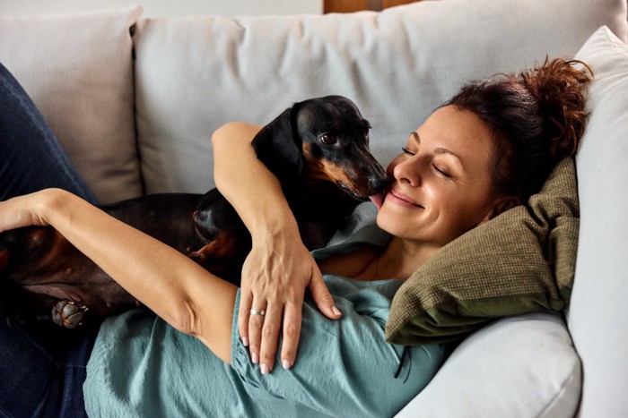 ソファでくつろぐ女性の上に乗る犬