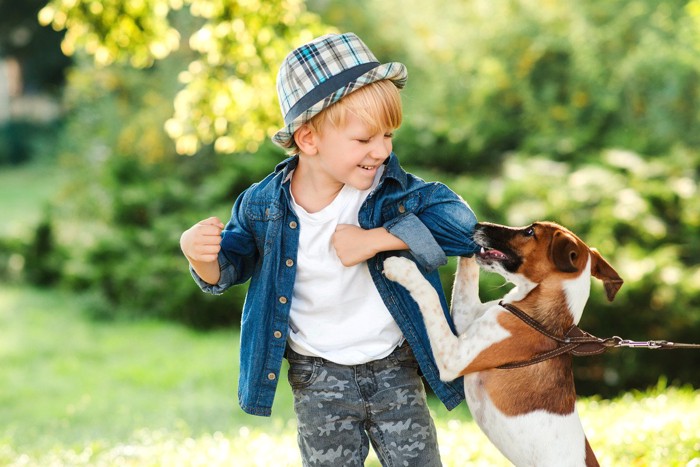 少年の袖を噛む犬