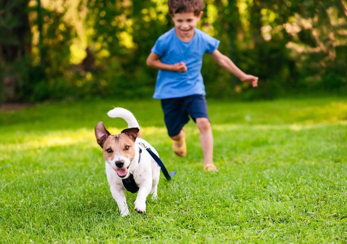 追いかけっこする犬と子供