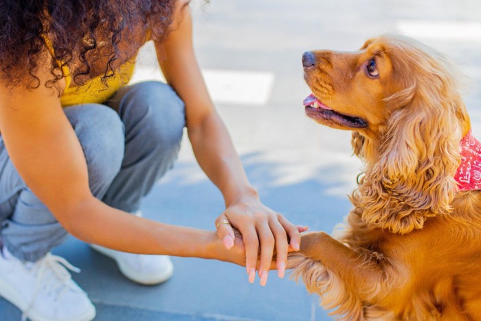 女性に前足を包まれている犬