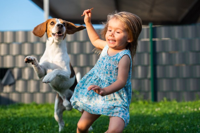 おいかけっこをする犬と女の子