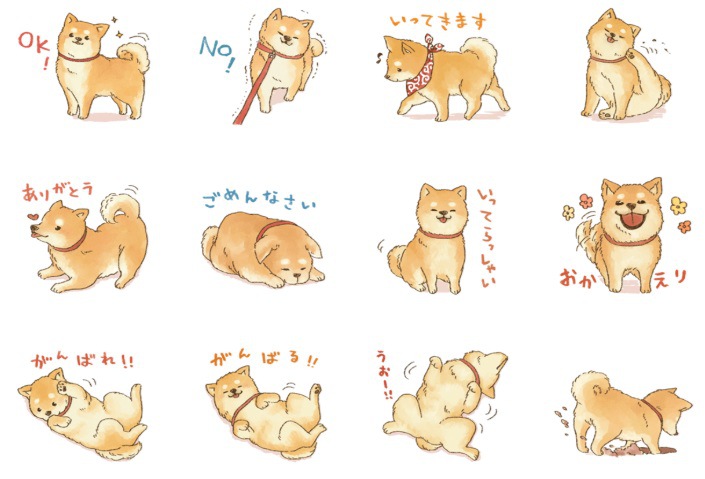 LINEスタンプ 可愛い柴犬の日常スタンプ