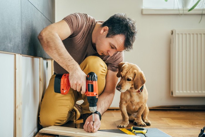 工作する人と犬