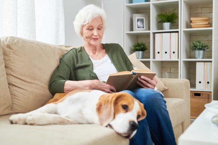 高齢女性と一緒にソファでくつろぐ犬