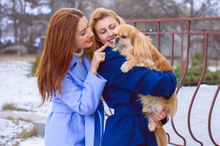 犬好きの友人