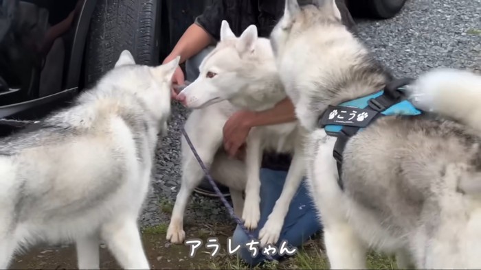 みんなのママは少し緊張気味？