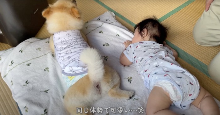 うつぶせの赤ちゃんと犬