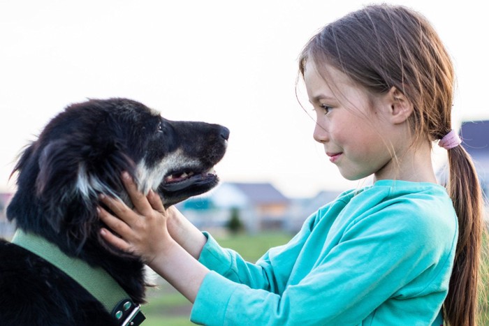 アイコンタクトで意思疎通する少女と犬