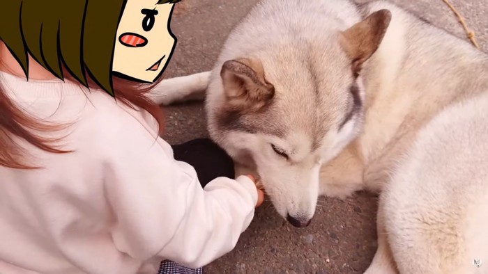 子どもが持つガムを食べる犬