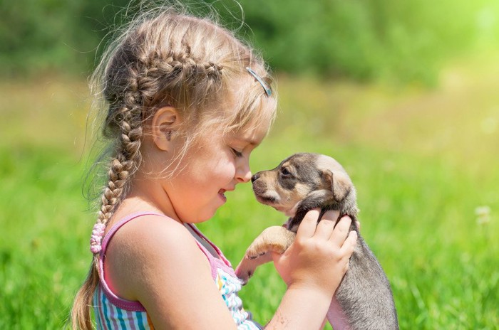 犬と子供