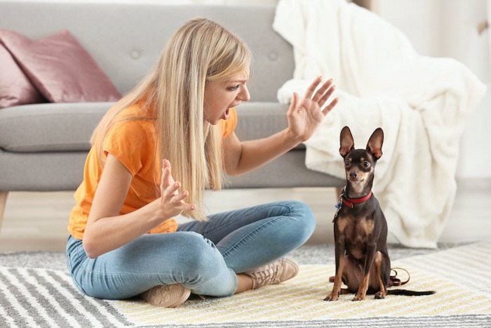 大袈裟に怒る女性と座っている犬