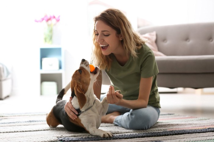 室内で遊ぶ女性と犬