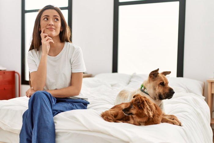 考える女性と2頭の犬