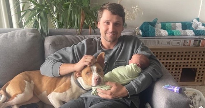 ソファに男性と赤ちゃんと犬