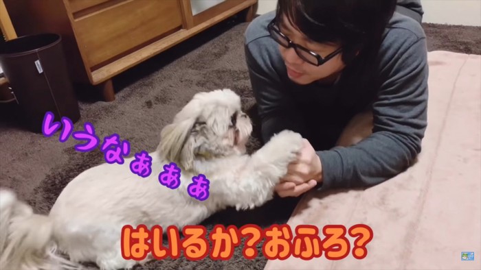 犬パンチを連打するてんぽさん