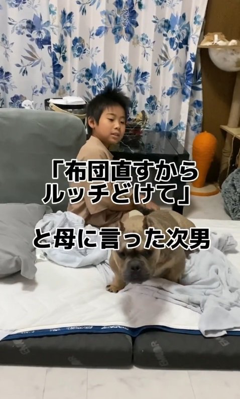 「ルッチをどけて」と少年が言うと…