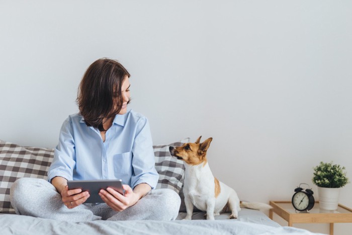 女性の顔を見つめる犬