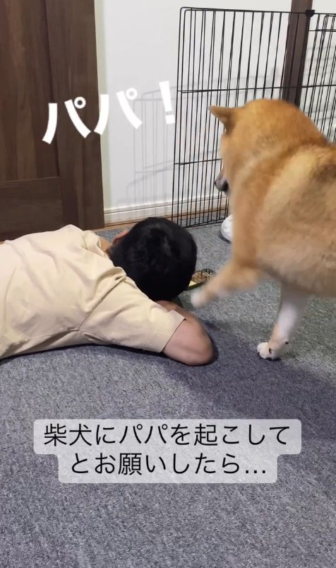 後頭部を前脚でバシッ！