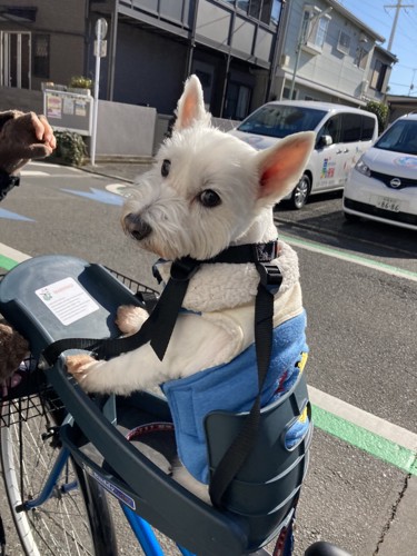 ちーちゃん自転車